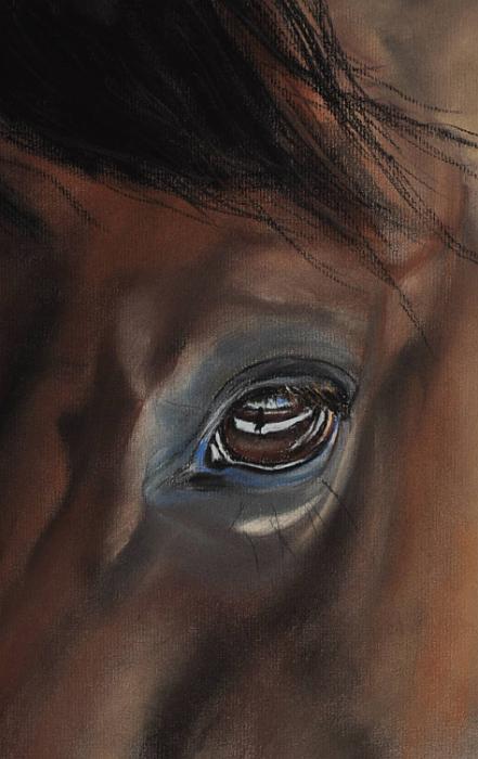 cheval detail 3.jpg - Pastel 40x30